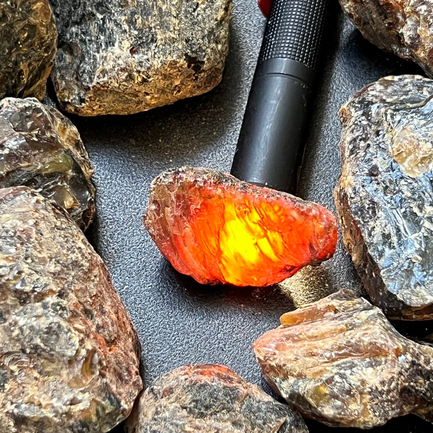 Black Amber Fossilized Tree Resin Mixed Sizes Rough Raw Stones (By The Piece or Pound)(UV Reactive)