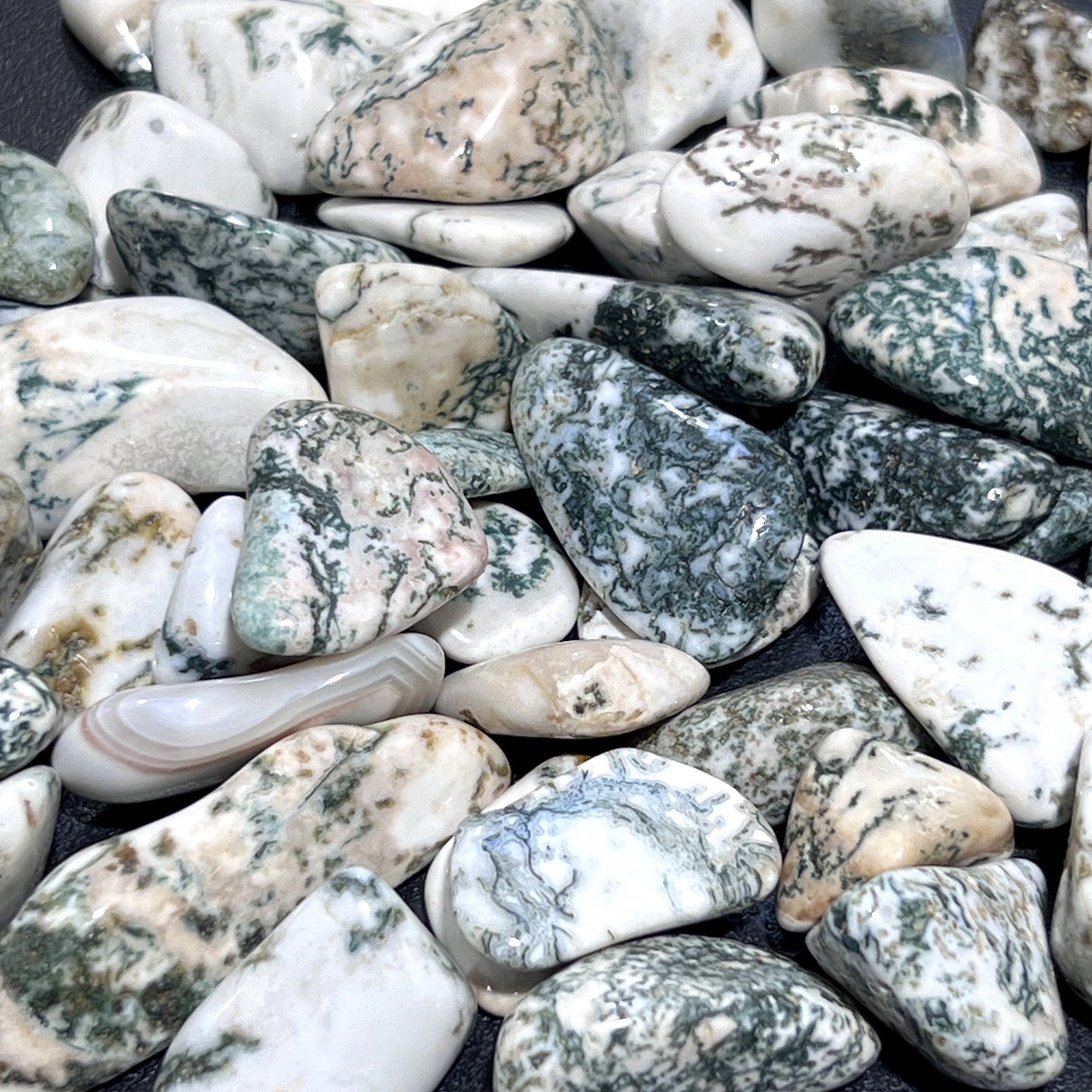 Tree Agate Tumbled Stones (By The Piece Or Pound)