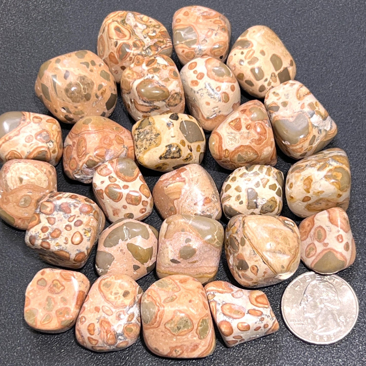 Leopardite (Leopard Jasper) Tumbled Stones (By The Piece or Pound)