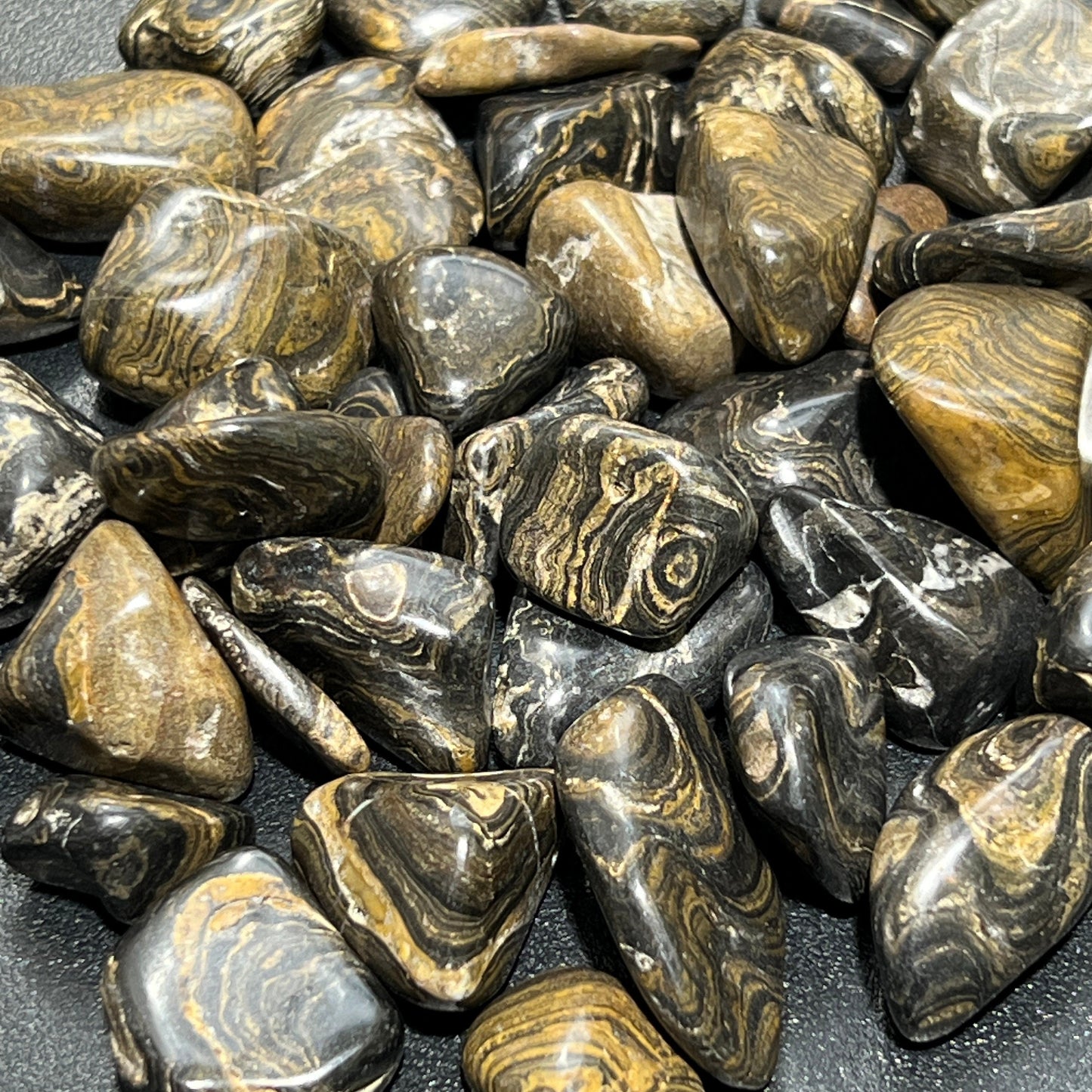Stromatolite Fossil Tumbled Stones (By The Piece or Pound)