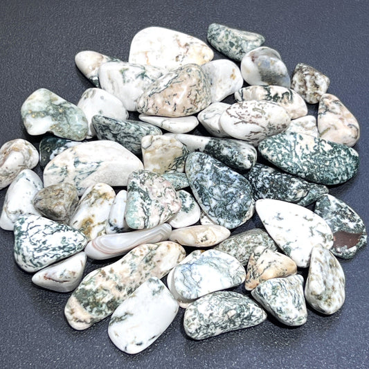 Tree Agate Tumbled Stones (By The Piece Or Pound)