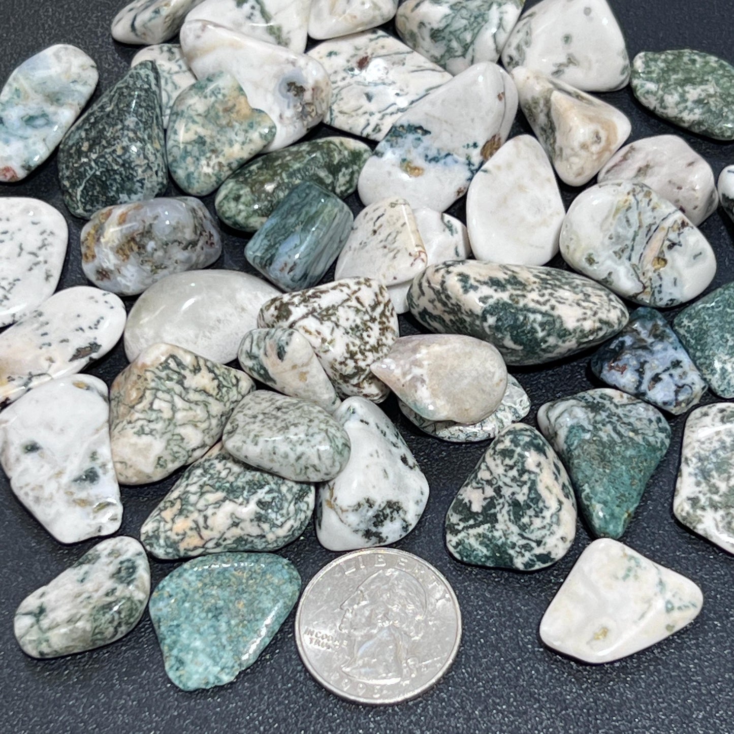 Tree Agate Tumbled Stones (By The Piece Or Pound)