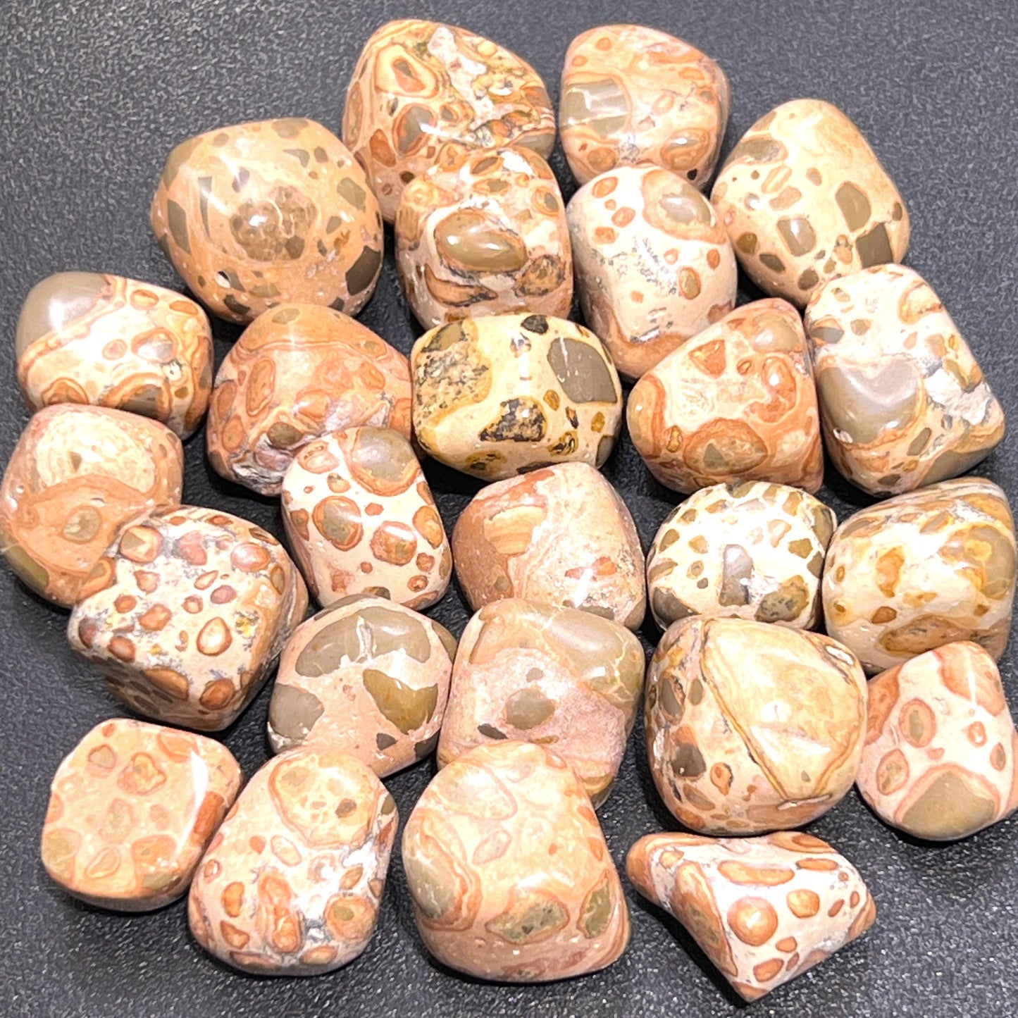 Leopardite (Leopard Jasper) Tumbled Stones (By The Piece or Pound)